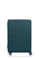 TRAVEL ESSENTIALS FLD. LUGGAGE COVER L  hi-res | Samsonite