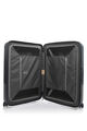 APINEX SPINNER 75/28 EXP  hi-res | Samsonite