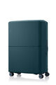 TRAVEL ESSENTIALS FLD. LUGGAGE COVER XL  hi-res | Samsonite